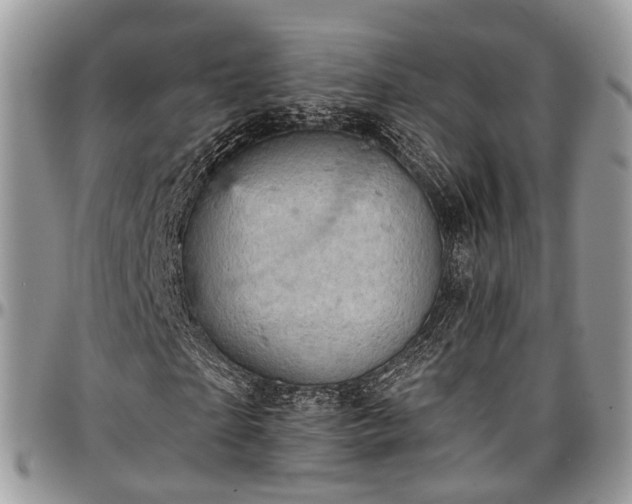 X0000096950865200802151235