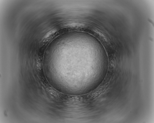 X0000096950869200802151235