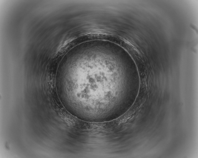 X0000096950870200802151235