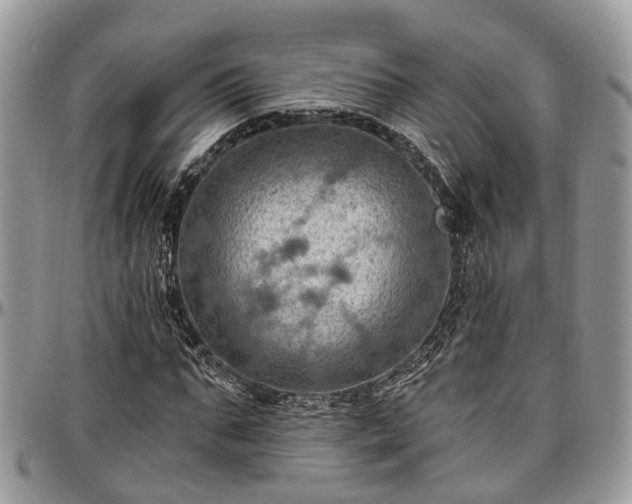 X0000096950871200802151235