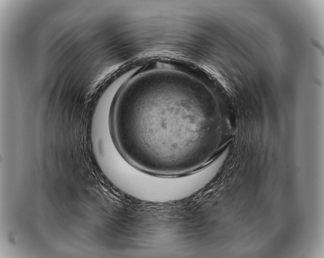 X0000096950872200802151235