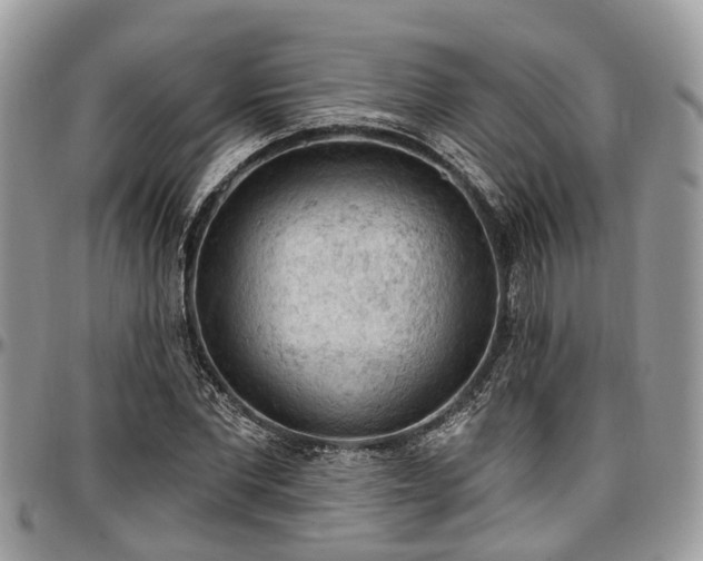 X0000096950877200802151235