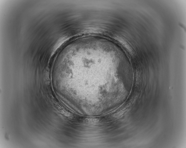 X0000096950878200802151235