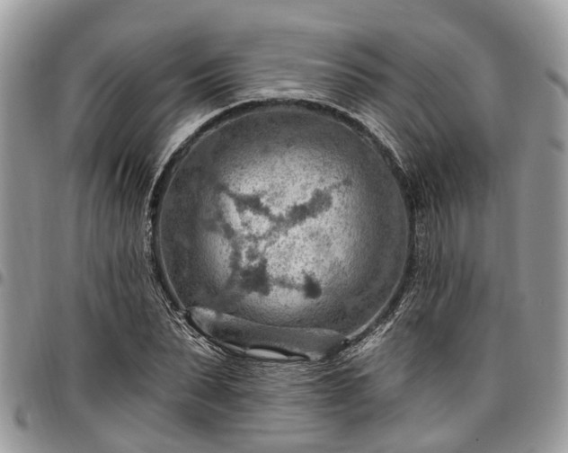X0000096950879200802151235