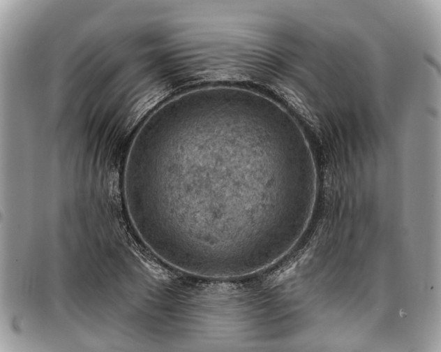 X0000096950881200802151235