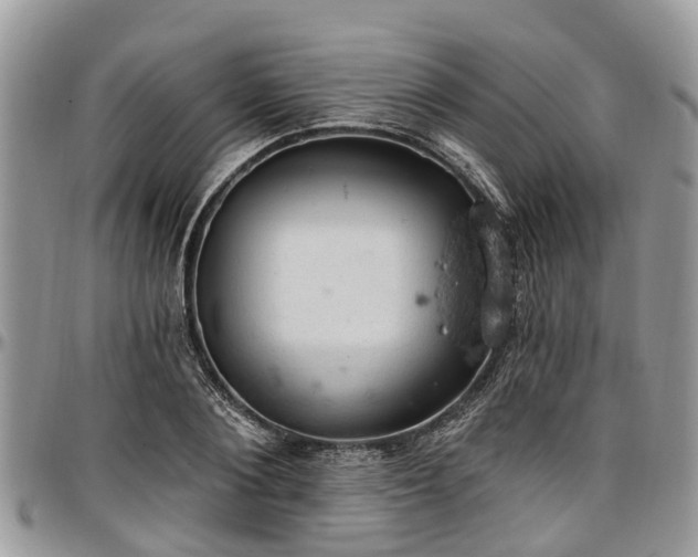 X0000096950884200802151235