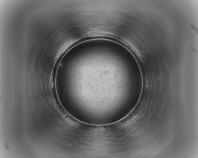 X0000096950885200802151235