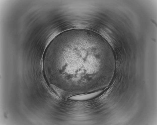 X0000096950891200802151235