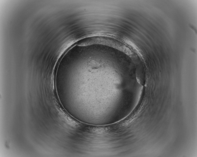 X0000096950892200802151235