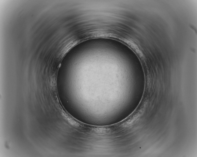 X0000096950897200802151235