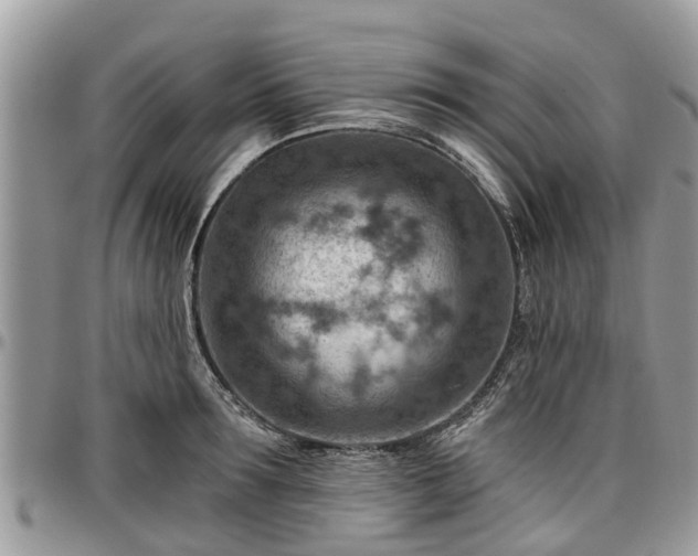 X0000096950899200802151235