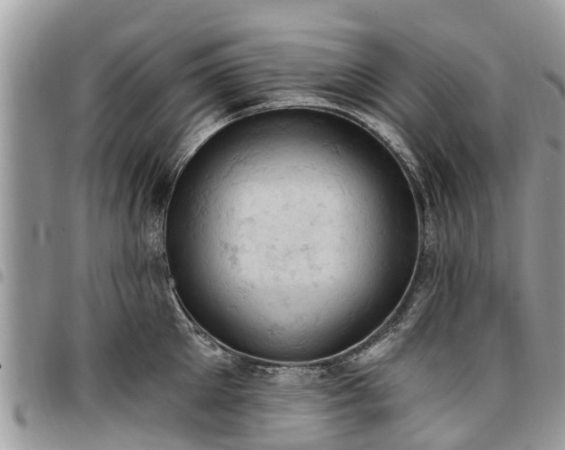 X0000096950905200802151235