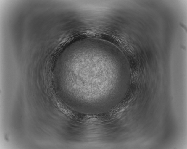 X0000096950913200802151233