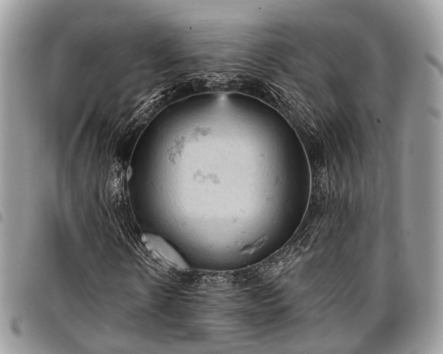 X0000096950914200802151233