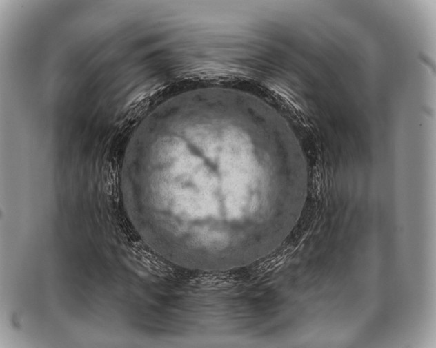 X0000096950917200802151233