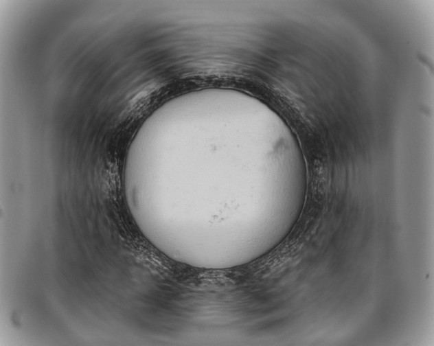 X0000096950918200802151234