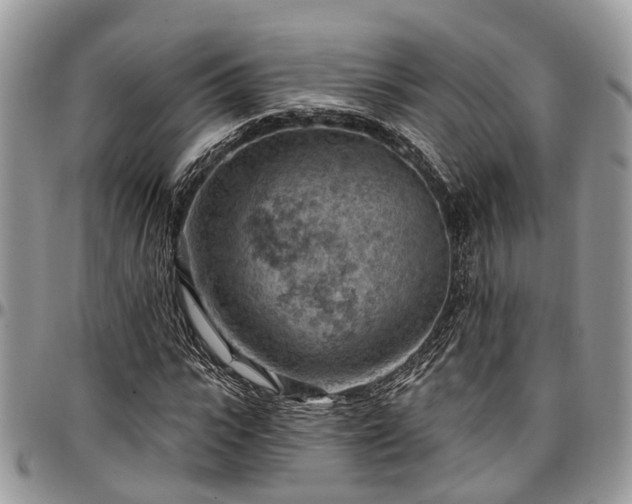 X0000096950919200802151234