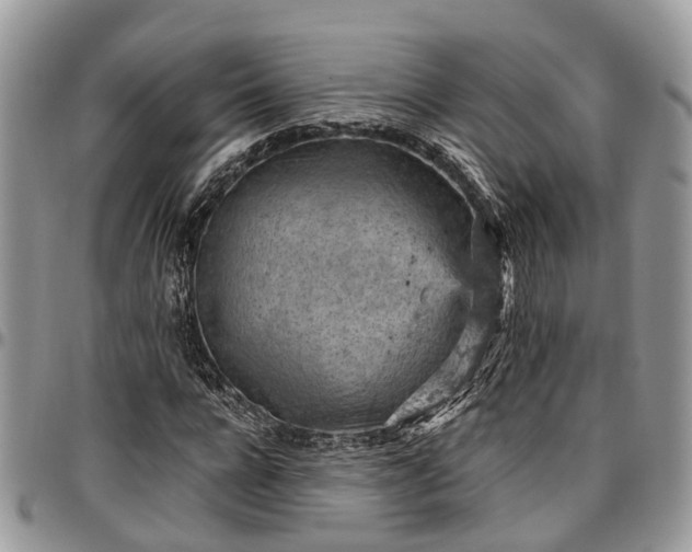 X0000096950920200802151234