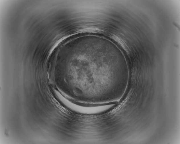 X0000096950923200802151234