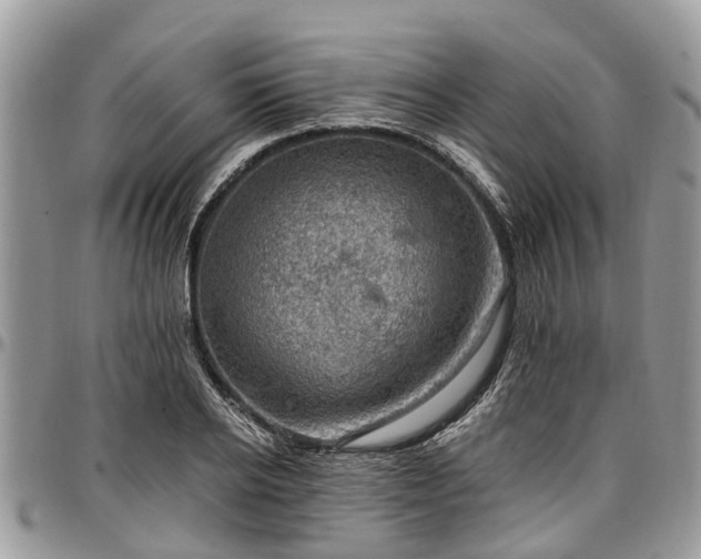 X0000096950934200802151234