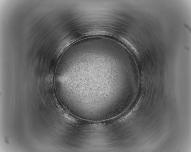 X0000096950937200802151234