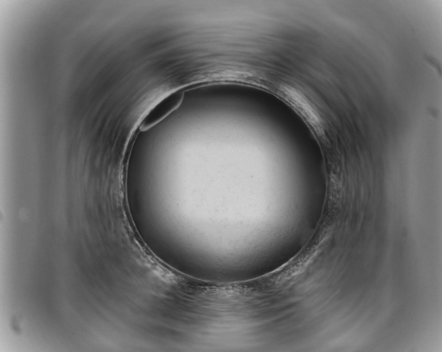 X0000096950948200802151234
