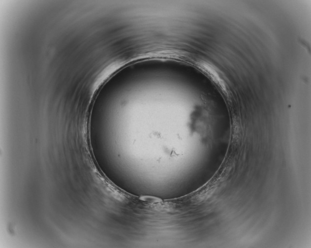X0000096950952200802151234