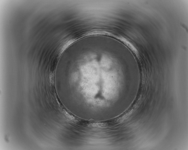 X0000096950953200802151234