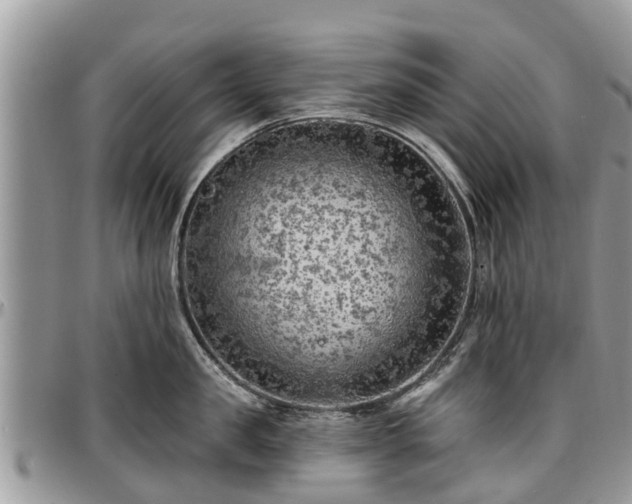 X0000096950957200802151234