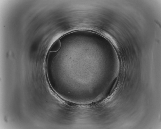 X0000096950958200802151234