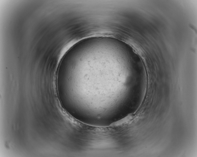 X0000096950960200802151234