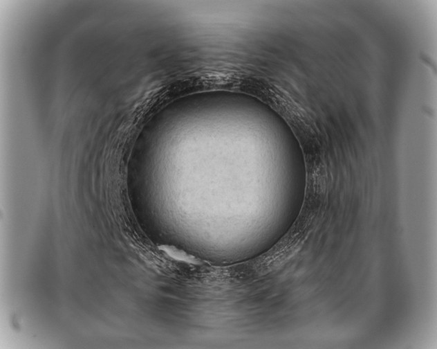 X0000096950961200802151233