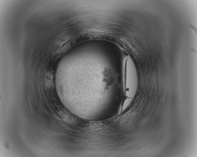 X0000096950964200802151233