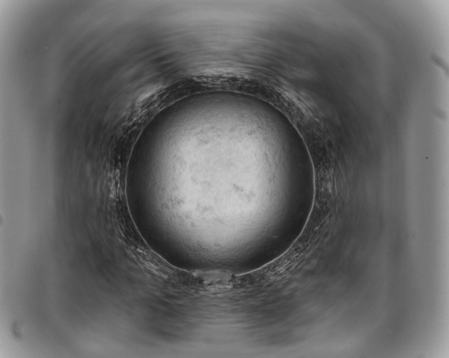 X0000096950965200802151233