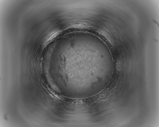 X0000096950968200802151233