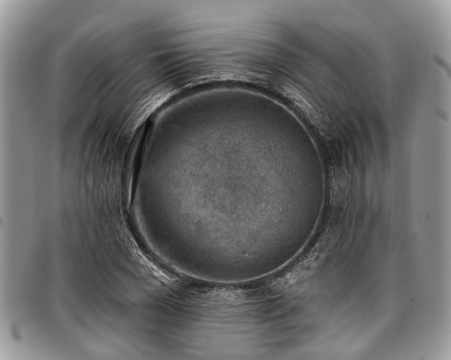 X0000096950977200802151233