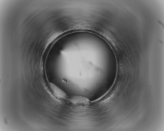 X0000096950981200802151233