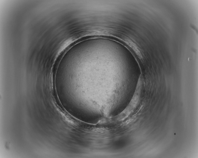 X0000096950982200802151233