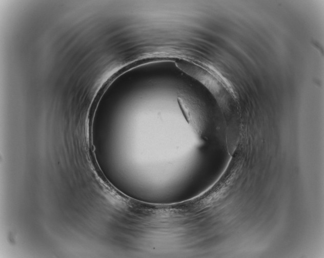 X0000096950988200802151233
