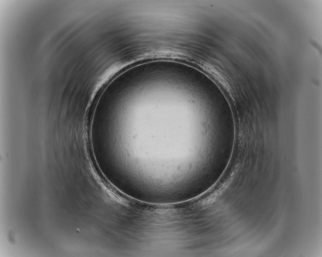 X0000096950989200802151233
