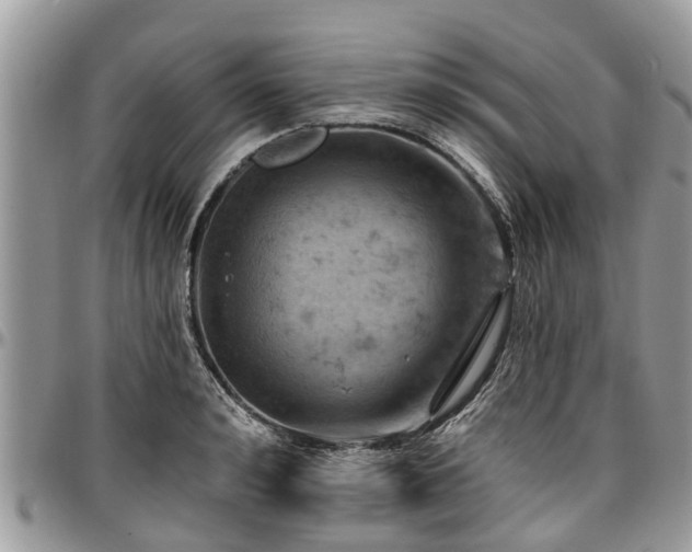 X0000096950992200802151233