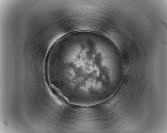 X0000096950995200802151233