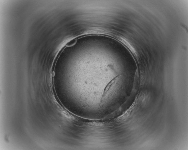 X0000096950996200802151233