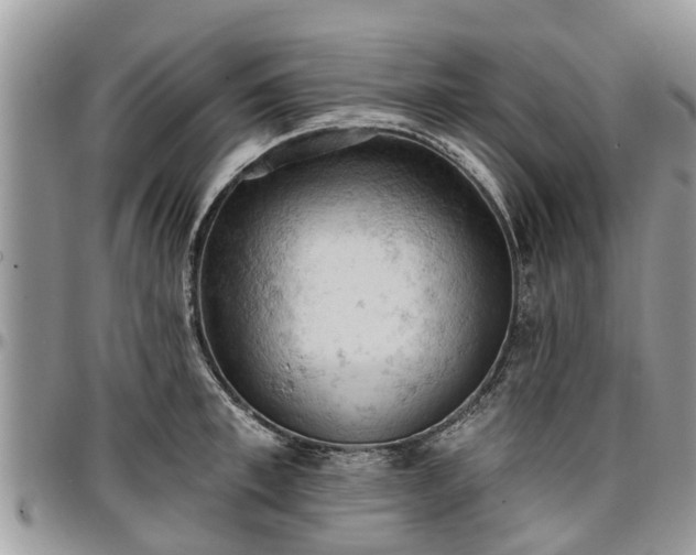 X0000096950997200802151233