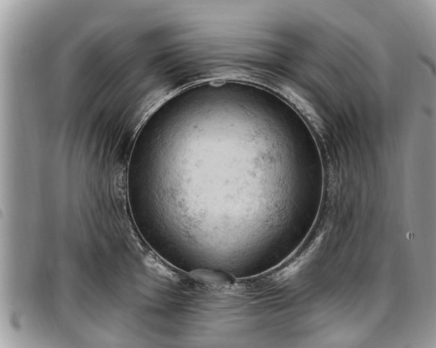 X0000096951001200802151233