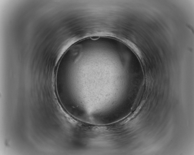 X0000096951006200802151233