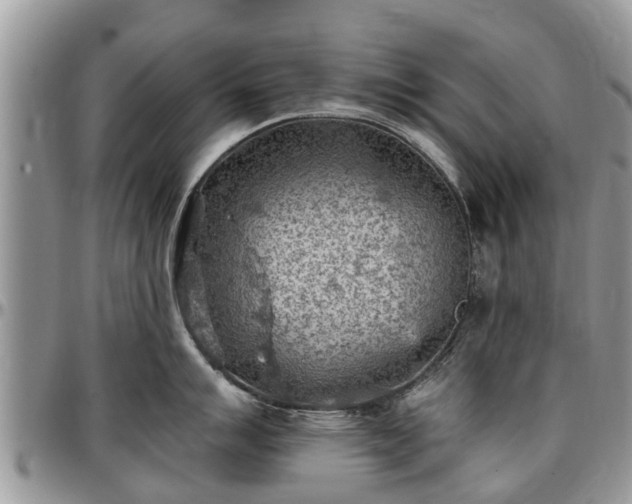 X0000096951007200802151233