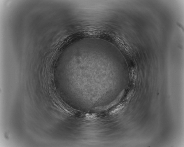X0000096951009200802151232