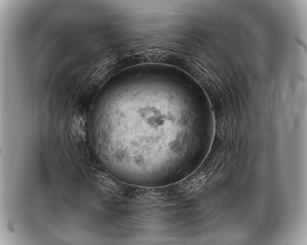 X0000096951010200802151232