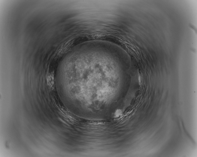 X0000096951011200802151232